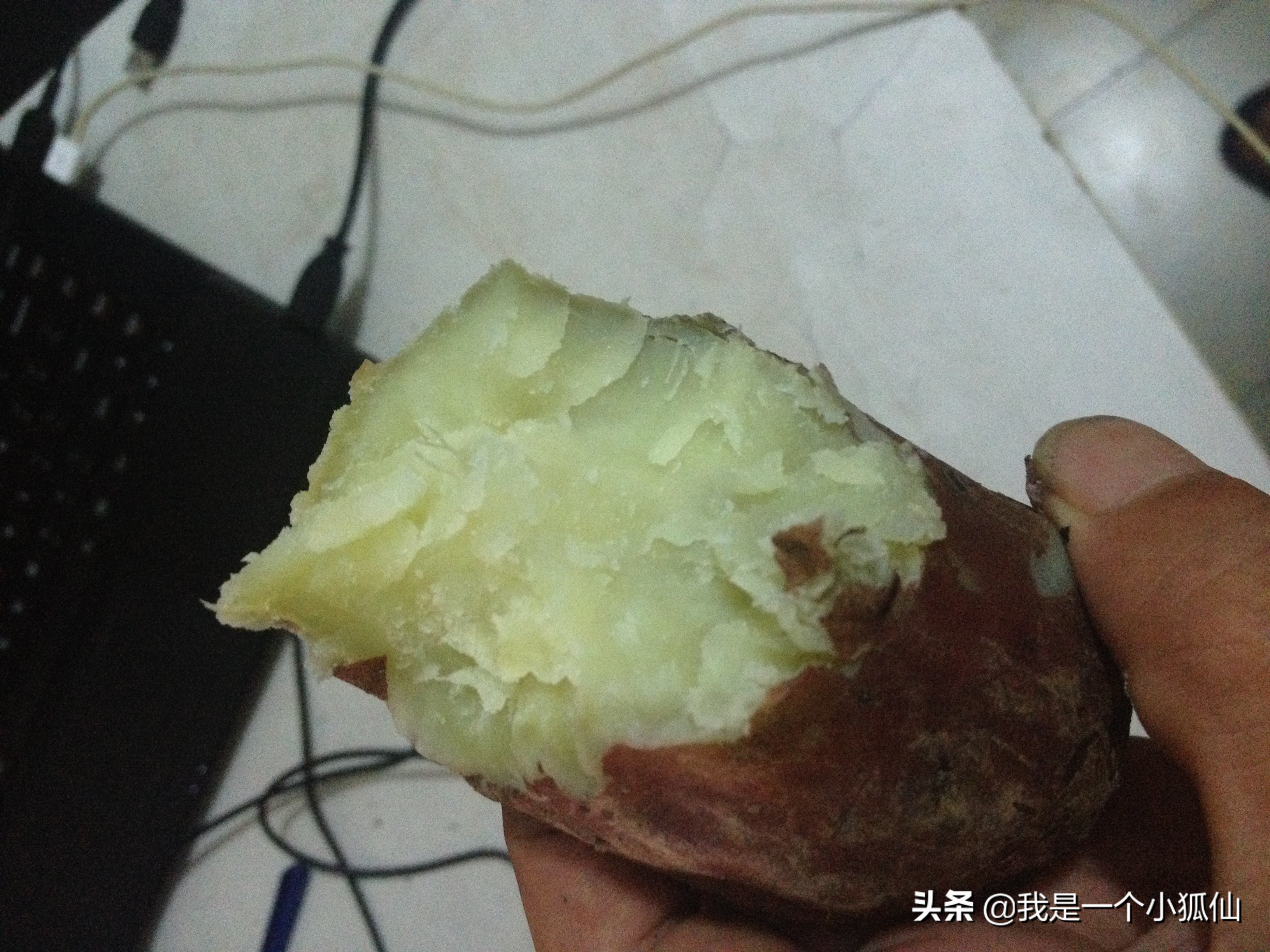 在安哥拉买了几块黑人种的山药，不好吃，我吃一半给狗吃了一半