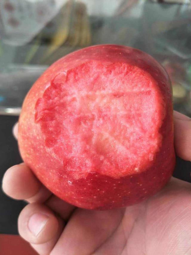 一斤苹果卖15元,种植的苹果能卖多少钱一斤