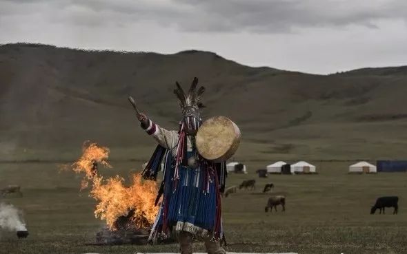 战功赫赫的马，驰骋草原的马，都是蒙古人的浪漫