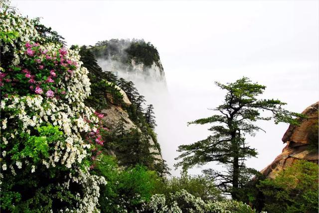 华山景区的旅游旺季和淡季,关于华山景区国庆节假期的通知