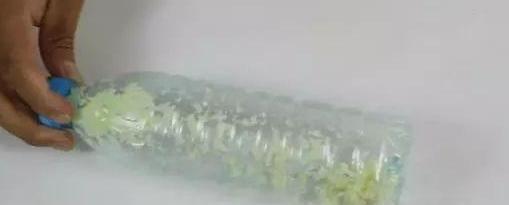 用大蒜养花会有意想不到的效果,大蒜养花小技巧图片