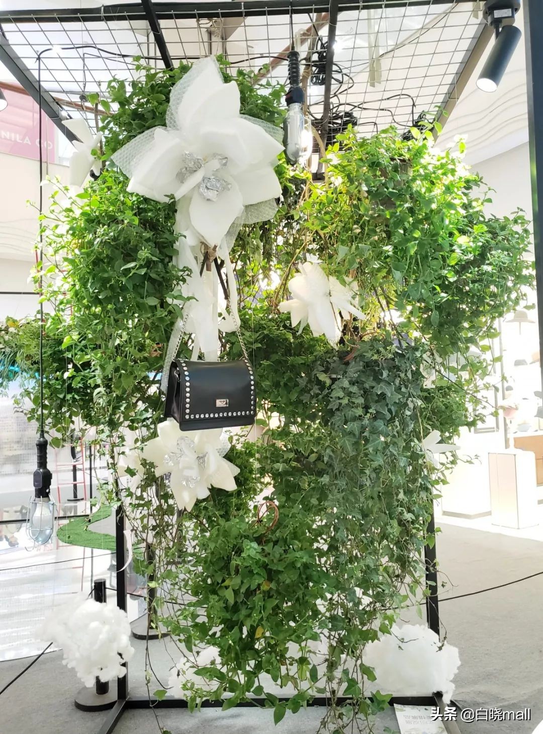 打卡朝阳大悦城,打卡朝阳餐厅