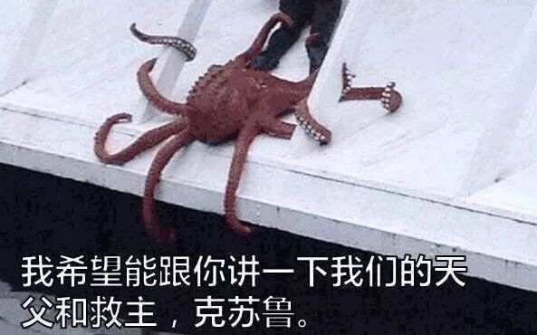 神秘组织背后的秘密探索,揭秘神秘组织01