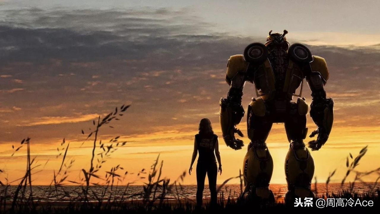 大黄蜂专属甲壳虫,大黄蜂甲壳虫系列