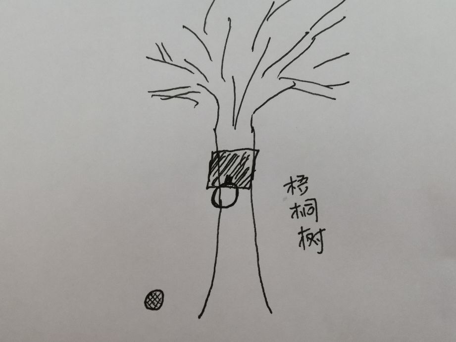 80后童年玩具手工制作,80后自制手工玩具100例