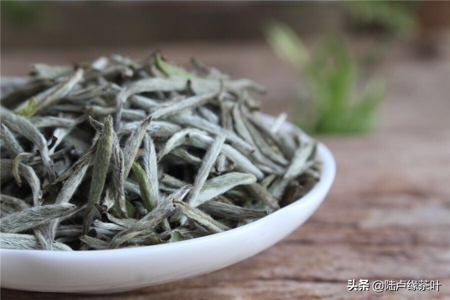 茶毫发霉和白霜的区别,发霉的生茶怎么处理好喝