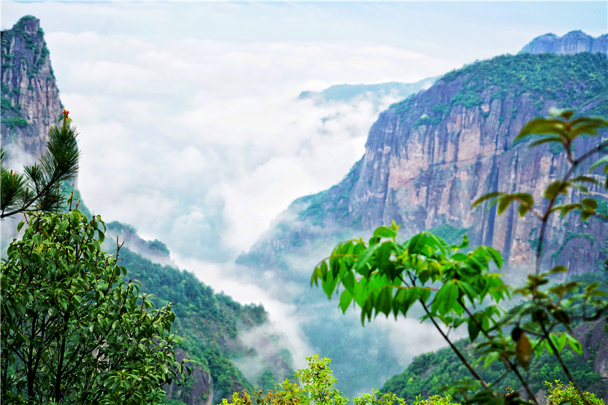浙江有一个神奇山,浙江山里蝌蚪