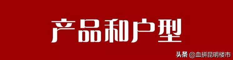 二层小洋楼自建房小户型,低首付低总价买三室两卫小洋楼