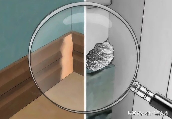 驱逐老鼠最好的办法,怎么样驱逐家里的老鼠