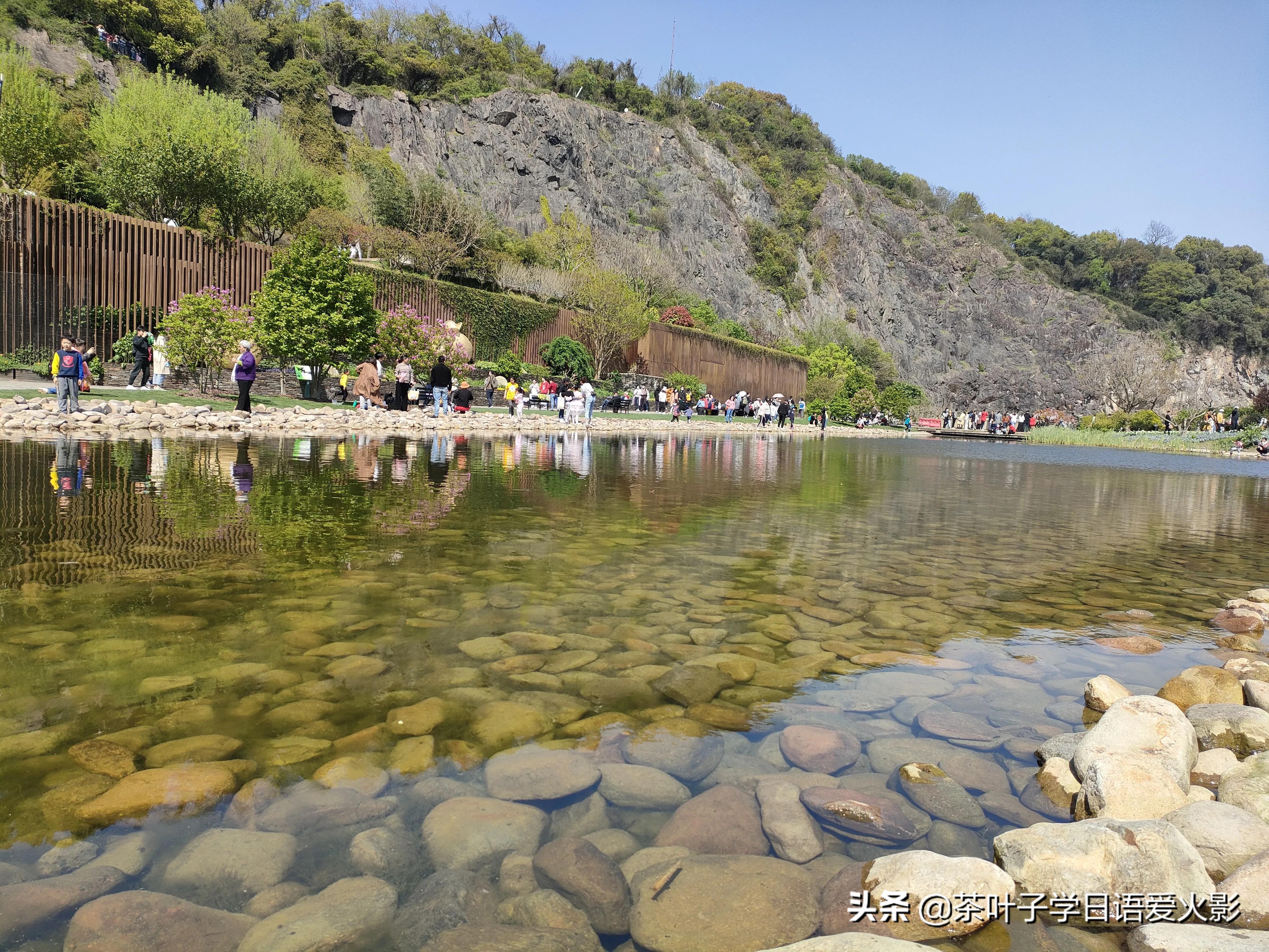 春天踏青适合去哪里玩,春天去上海辰山植物园攻略