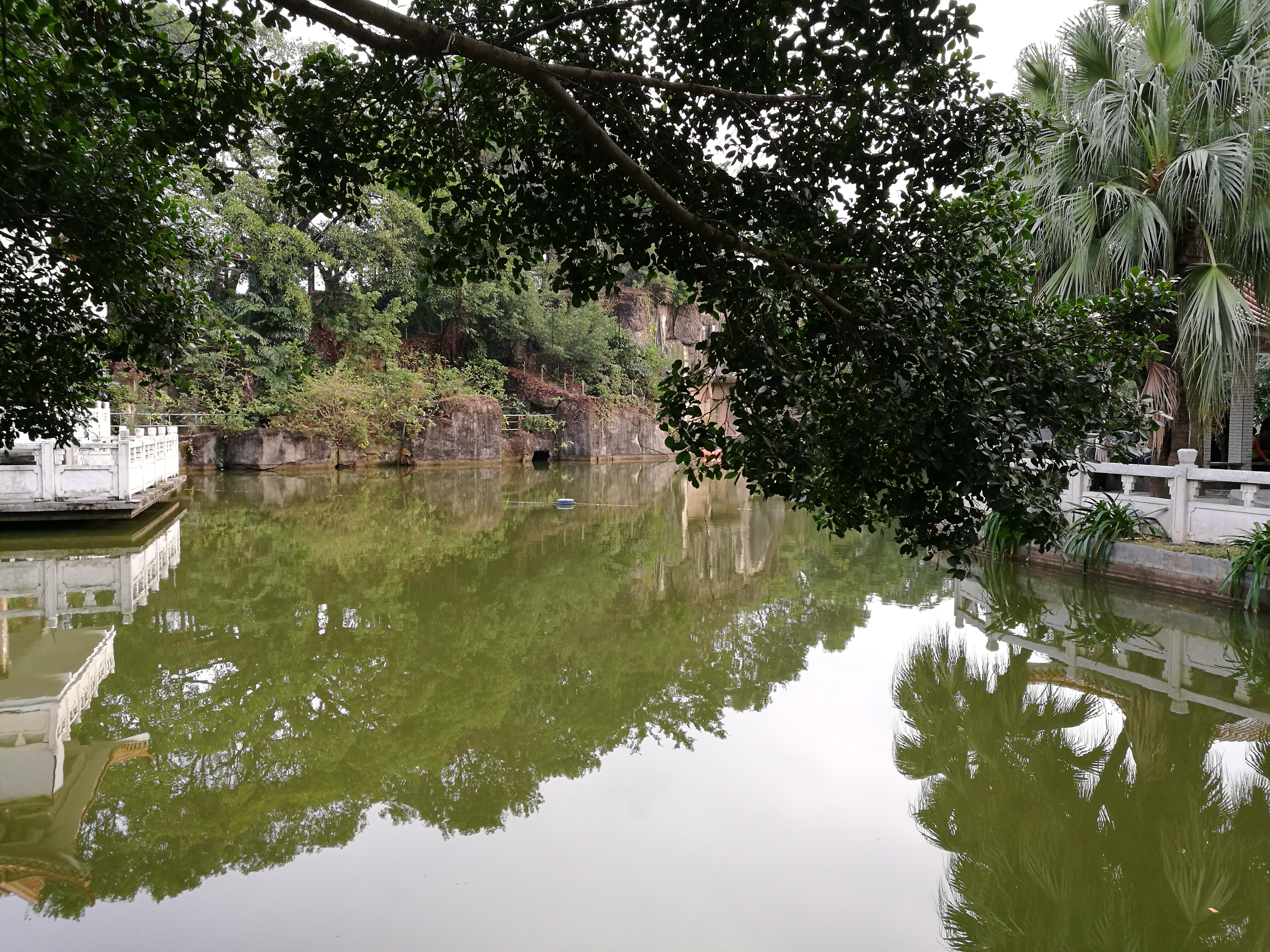 平安夜偶遇第一场雪,平安夜偶遇生日