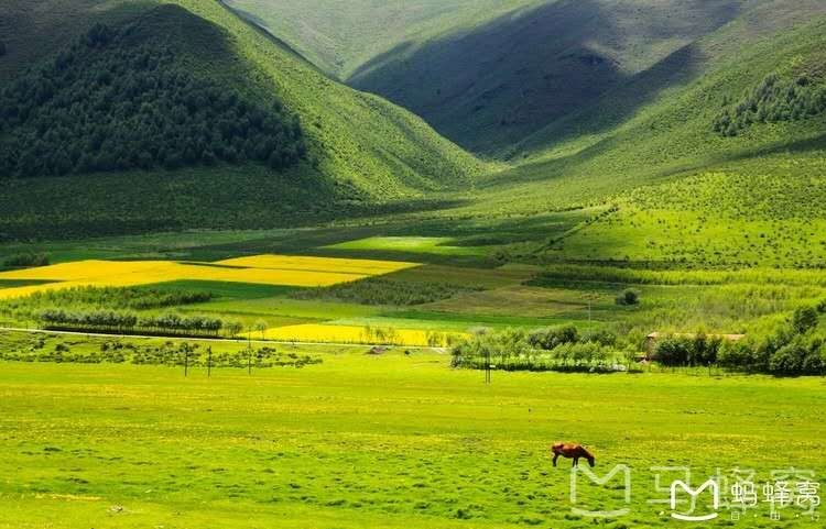 西北大环线六日游自驾攻略,西北大环线张掖出发5日自驾游