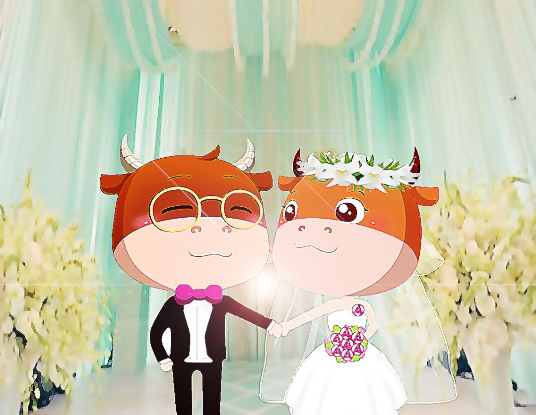 单身潮下红娘经济进入黄金期，一手好牌却被打的稀巴烂