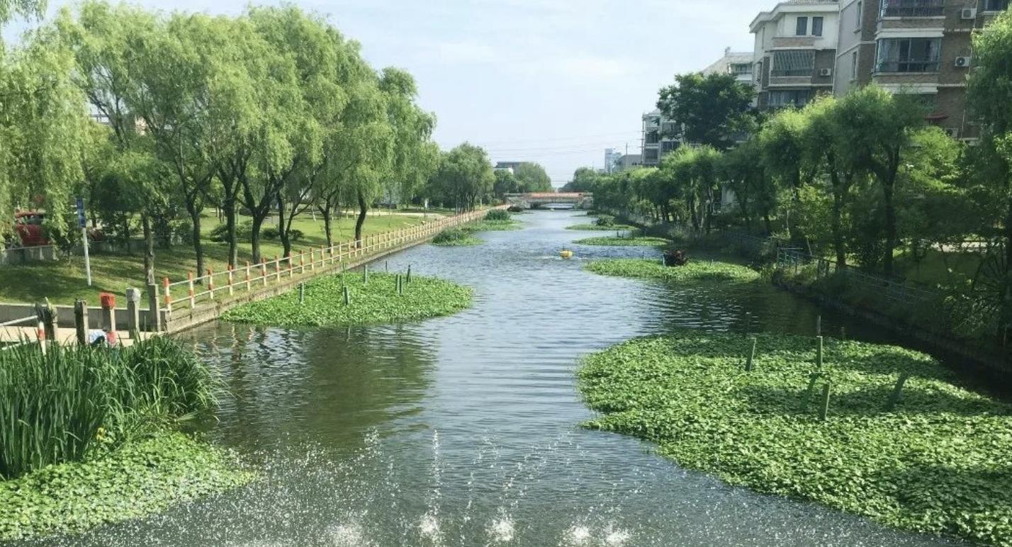 慈溪长河镇首富豪宅,慈溪长河镇首富