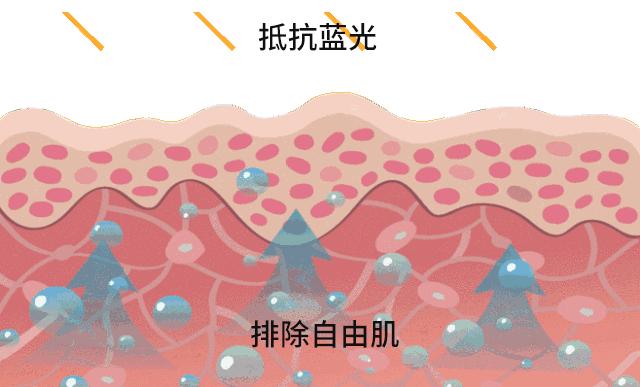 抗蓝光防紫外线护肤品,抗蓝光美白护肤产品