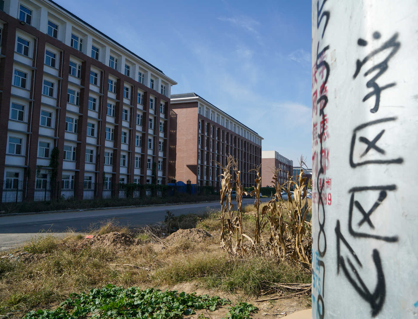 衡水“宇宙第一中学”被停止招生一年，学校老师称无大影响，中介一个名额卖3万，当地房产仍遭疯抢