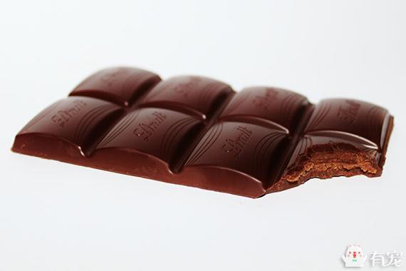 狗狗误食了巧克力饼干怎么办,狗狗误食了巧克力豆