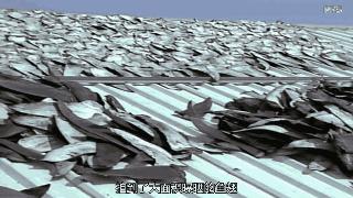 燕窝海参鱼翅花胶八珍,鱼翅为古代八珍之一