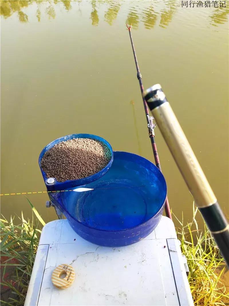 钓鱼日记第19天,钓鱼游钓日记100篇