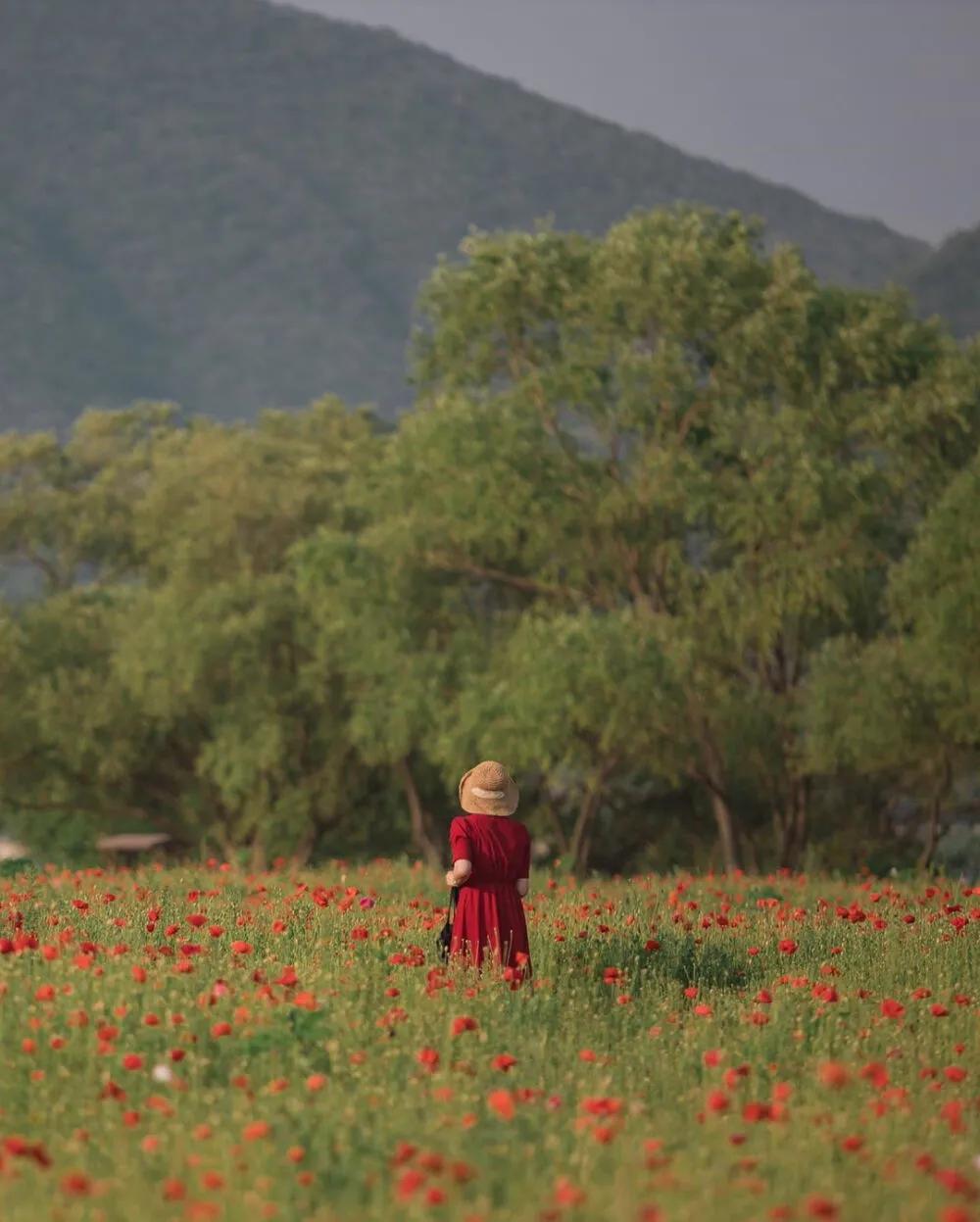 ［心灵・TABS］为什么越来越多人不发朋友圈了？