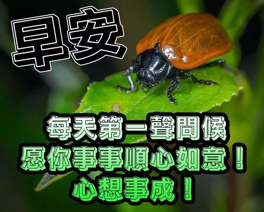 做人留有余地也是给自己一线生机,给别人留路就是给自己积攒人品