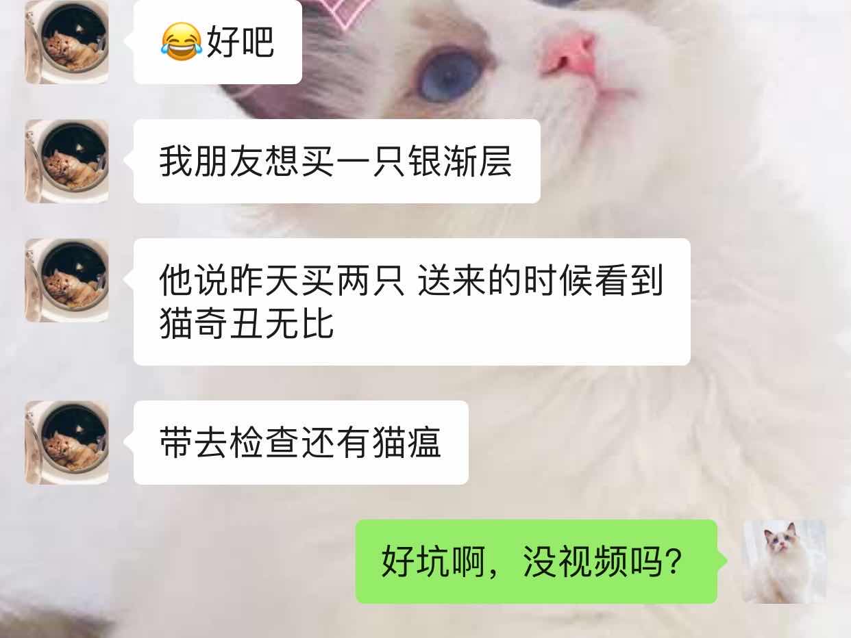 猫瘟导致眼睛变绿,谈猫色变