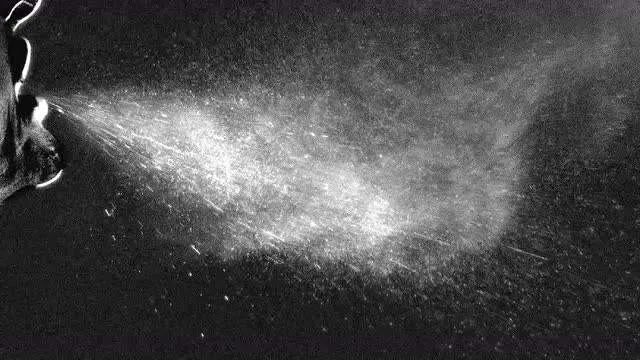 新冠病毒户外运动,新冠病毒在冬季是否会更加活跃