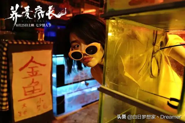 搴峰悍鐨勬帹鑽愮殑鐢靛奖,搴峰悍鐢靛奖鎺ㄨ崘