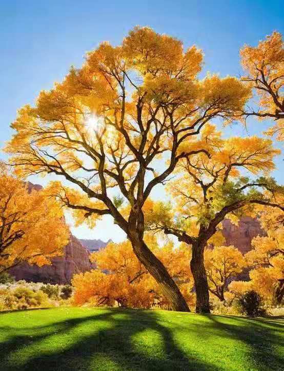 无论出现什么问题都要想办法解决,无论遇到什么事都该积极面对