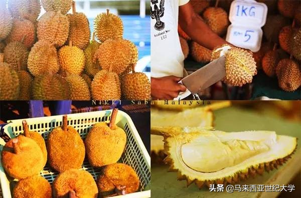 马来西亚最受欢迎度假区,马来西亚旅游最好玩的岛