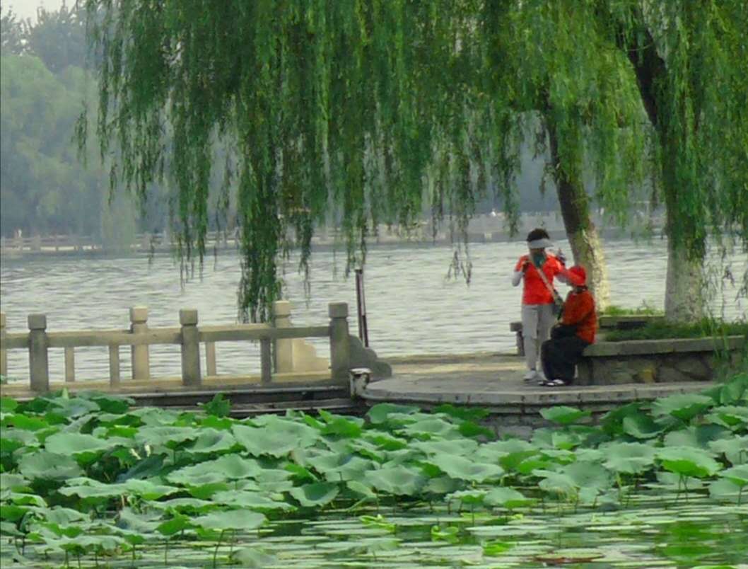 老年歌曲民歌1000首,老年歌曲100首经典老歌歌词