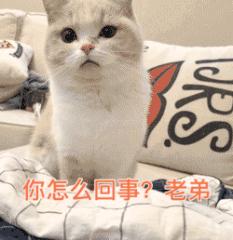 如何享受生活快乐,如何享受生活的滋味