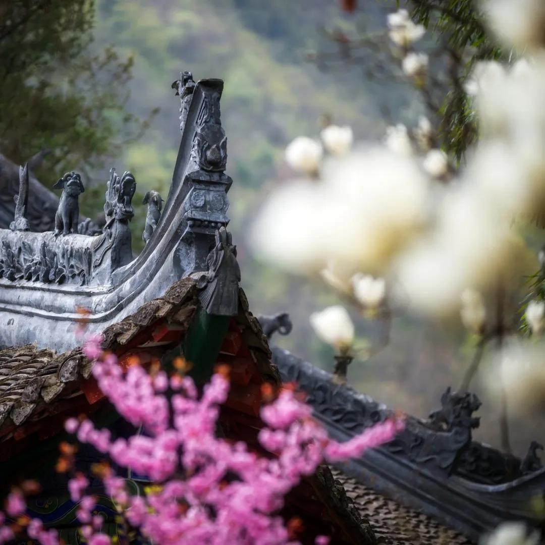 陕西秦岭最美的小城在哪里,秦岭深处的小县城暗藏着绝美秋色