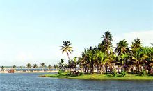 湛江市麻章区蔡蔡,湛江市麻章区有多大