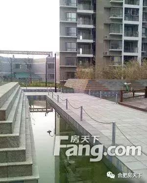 滨湖区房子精装修,滨湖学位房急售19万