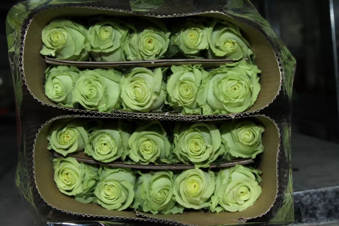 越南教师节鲜花为什么涨价,越南教师节鲜花涨价