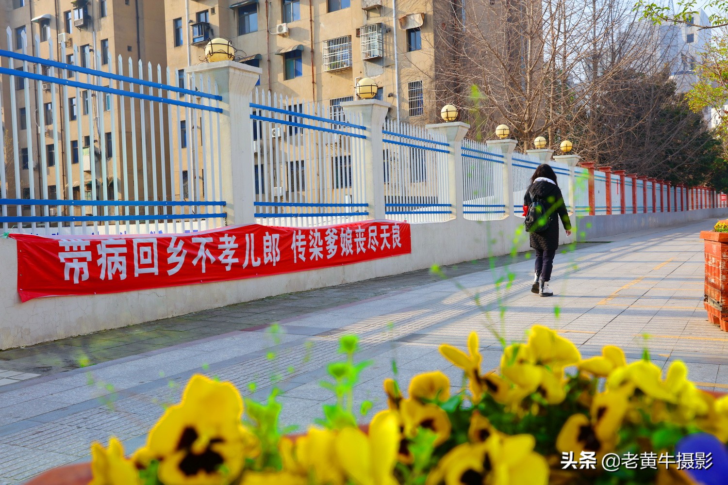 湖北京山摄影,京山摄影作品
