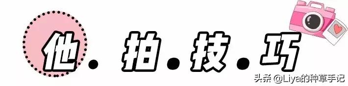 拍照姿势模板,最近很火的拍照方法模板