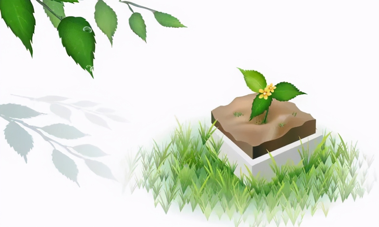 四年级作文小小动物园范文及评语,小学四年级小小动物园作文要求