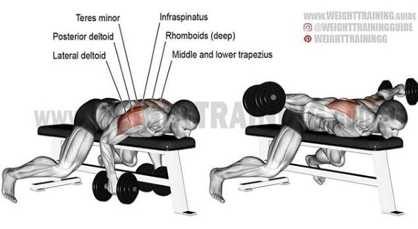 胸肩背臂腿腹训练动作,腰臀肌肉训练方法
