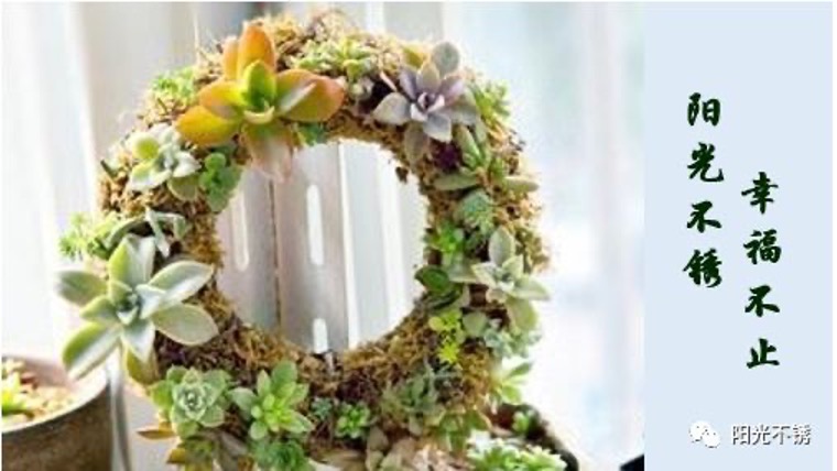 管理者一定要警惕的事,管理者警惕员工