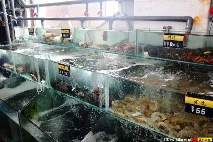 藏在日照的海边,竟然有一处世外桃源,赶海,捕鱼,温馨民宿……