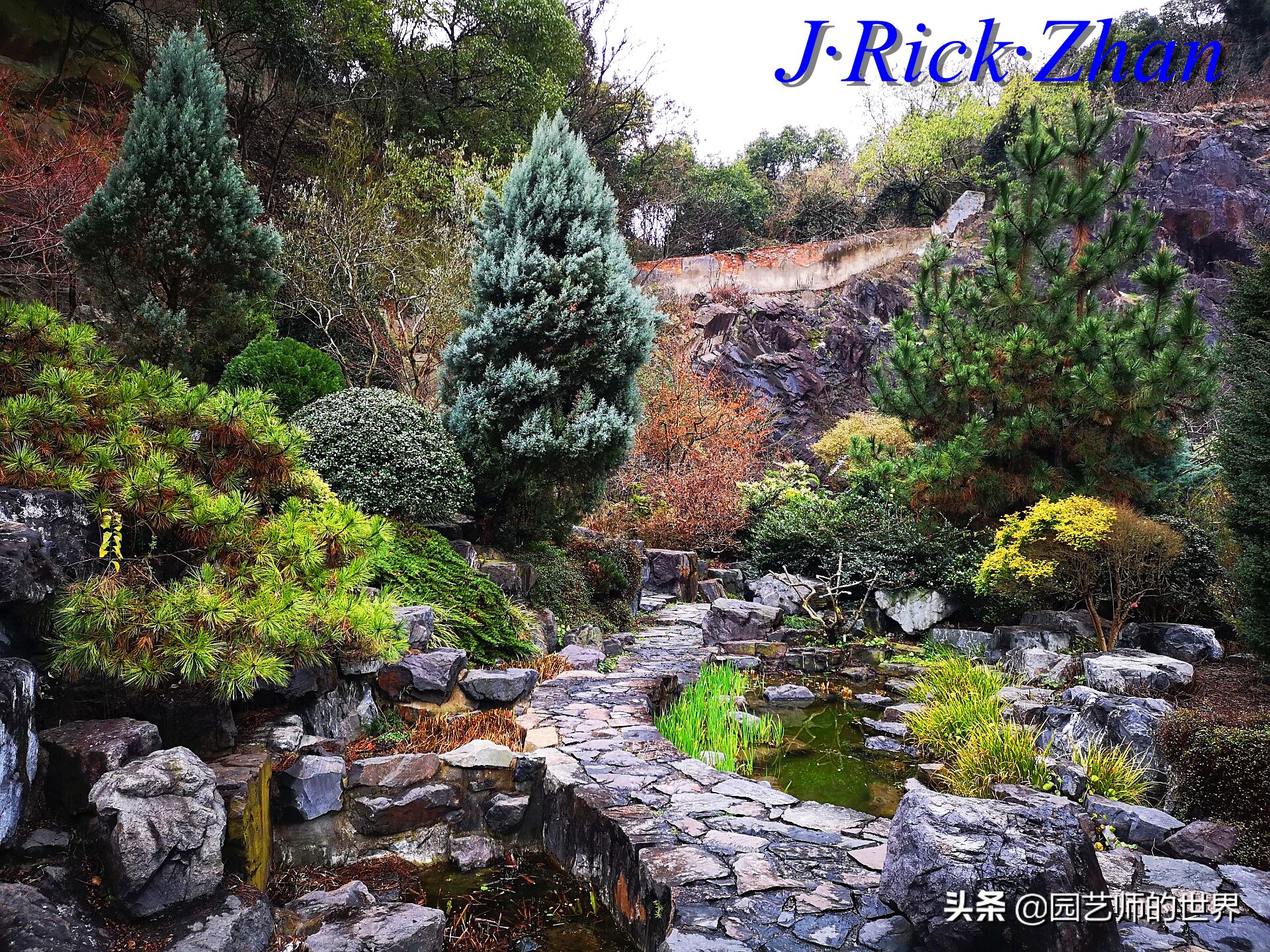 园艺研学报告,园艺园林研学