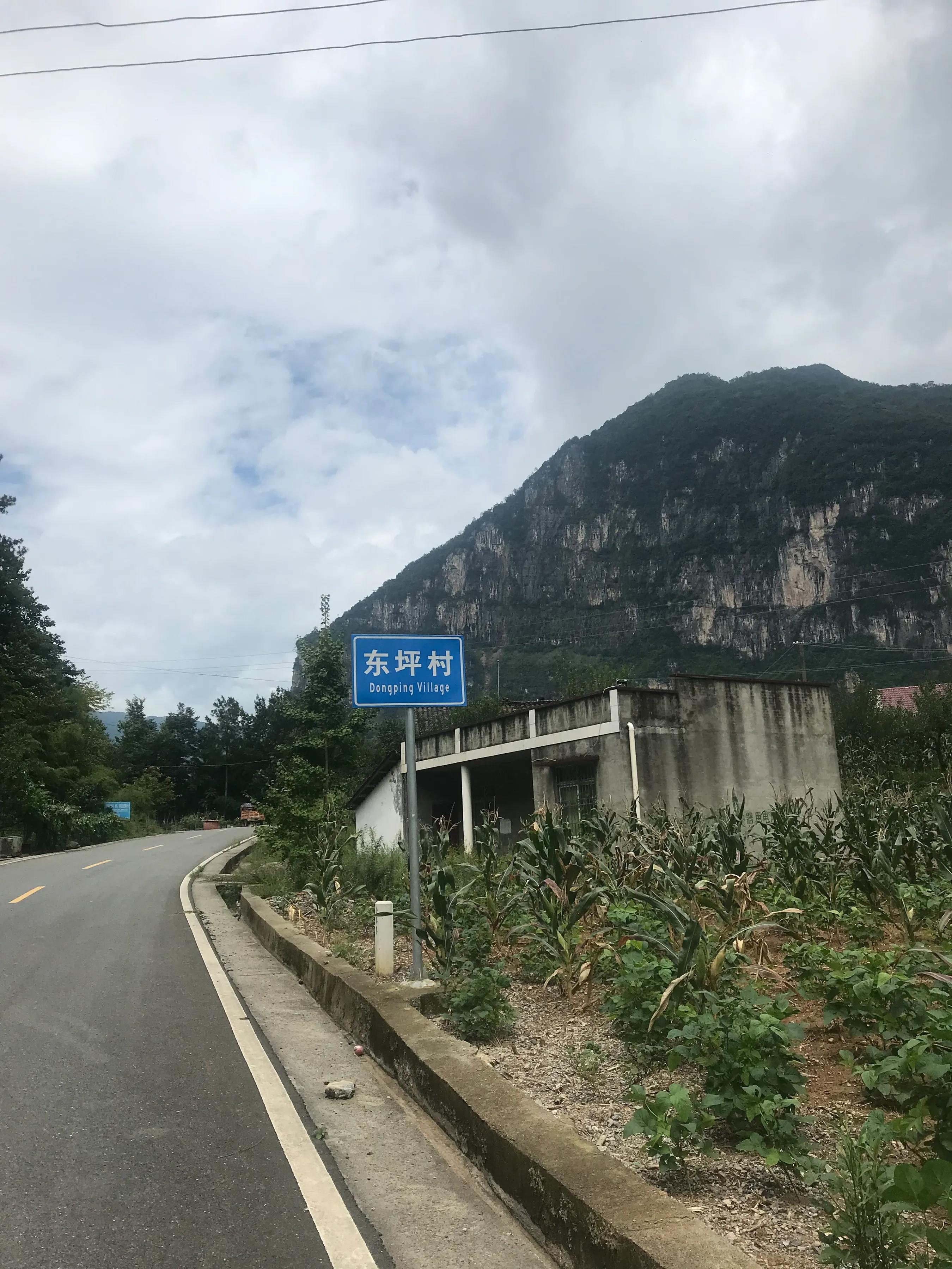 山远近路横斜读音,山远近路横斜青旗沽酒有人家意思