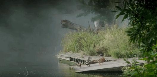 鑰佸叕鍏绘垚鎸囧崡,鑰佸叕鍏绘垚鎵嬪唽