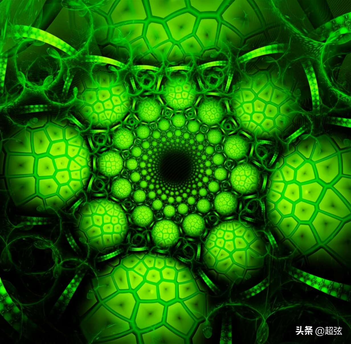 霍金发现外星人真的存在吗,霍金预测外星人存在吗