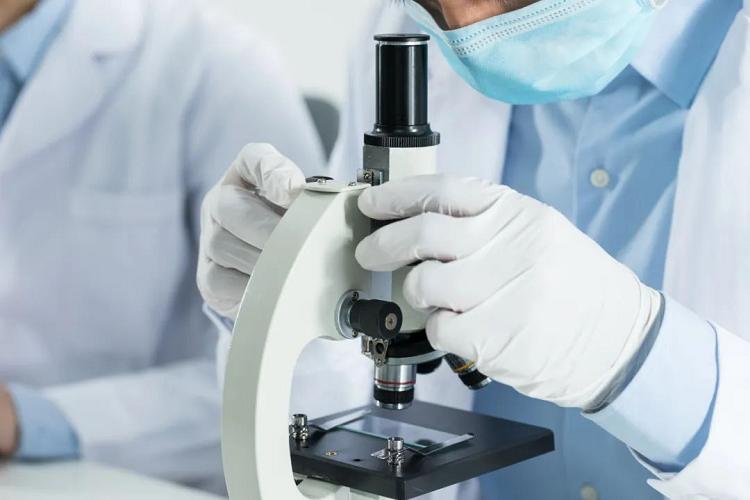 中老年人,想要远离脑血栓,却把三七当茶喝,这种认知会有损健康