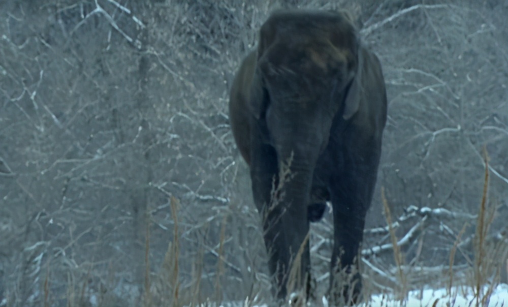 人类凭空消失去哪了,2027年人类会不会消失