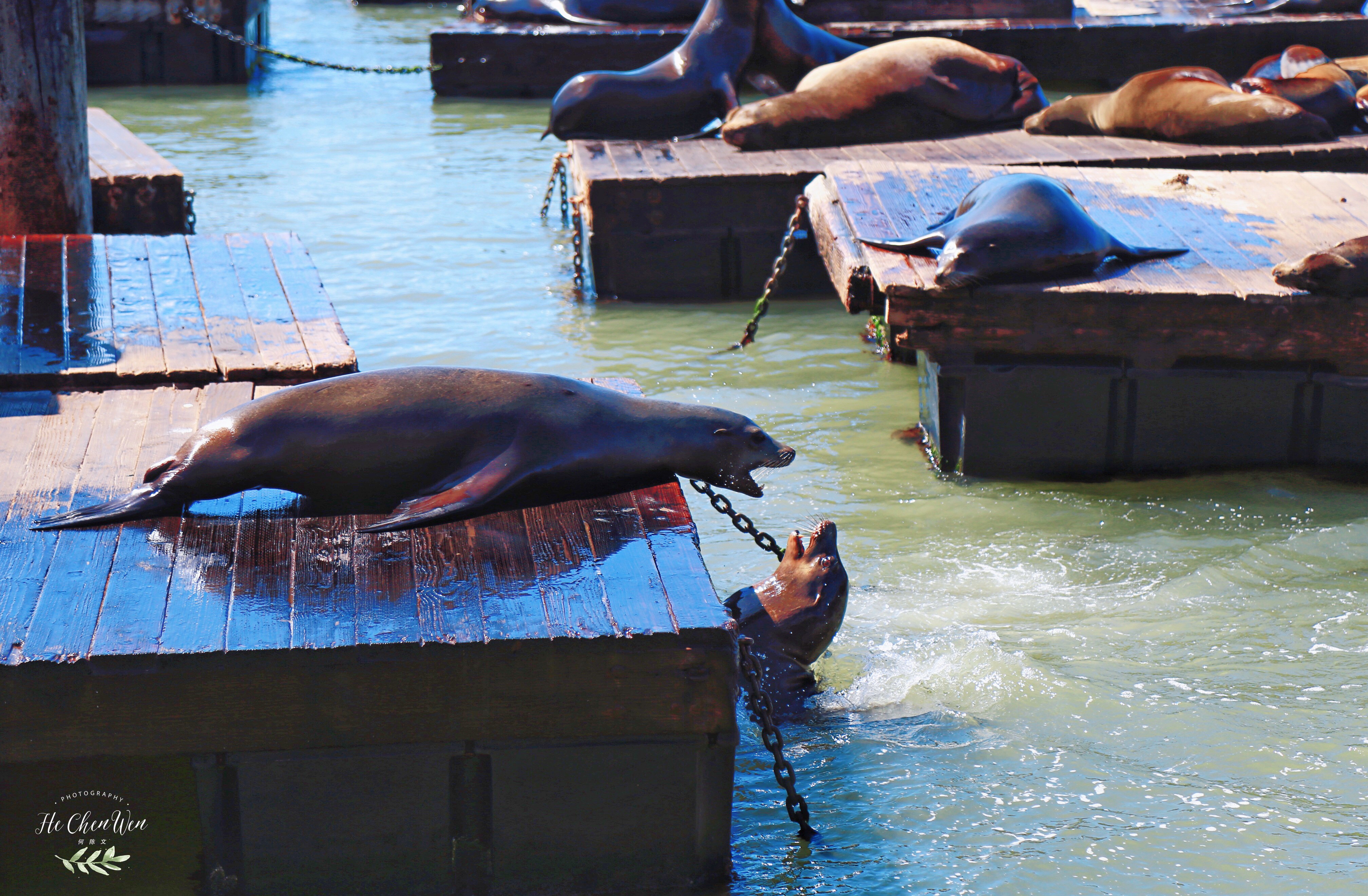 旧金山三大著名景点,旧金山10个热门景点