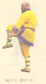 少林护心意门拳全套演示,少林拳长护心意门拳介绍